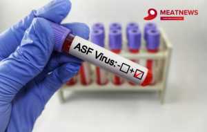 В Іспанії нові спалахи АЧС