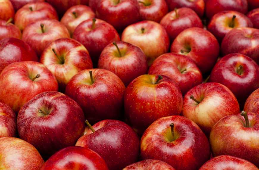 Українські яблука популярні у Таджикистані