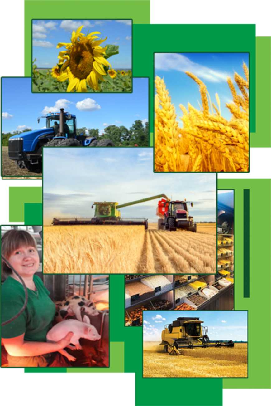KSG Agro у І півріччі 2026 року збільшив операційний прибуток у 3,2 раза, EBITDA у 2,6 раза