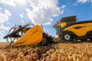 76 га/день з урожайністю від 8 до 10 т!