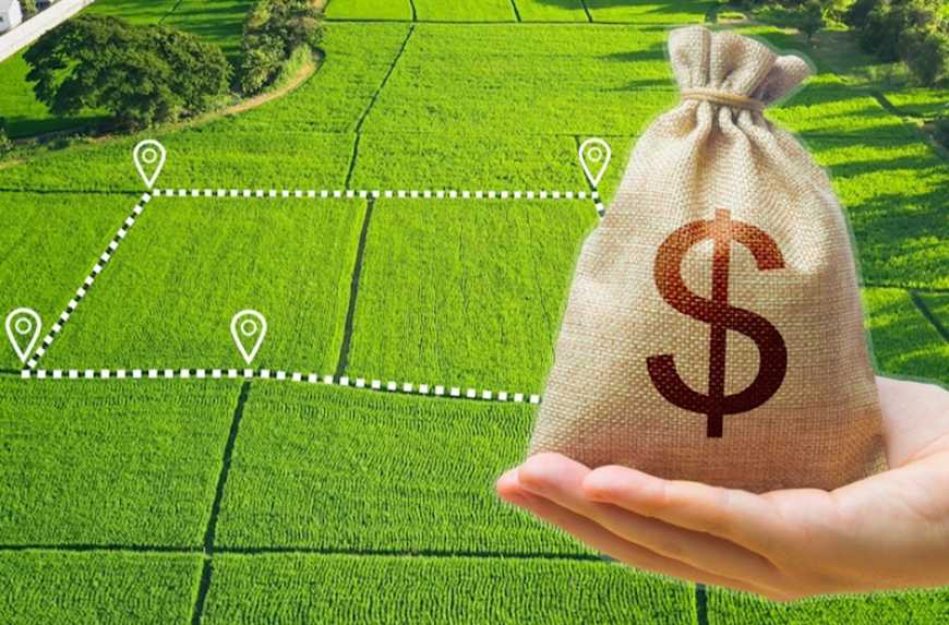 Оцінка сільгоспземель: уряд змінює методику нормативної грошової оцінки