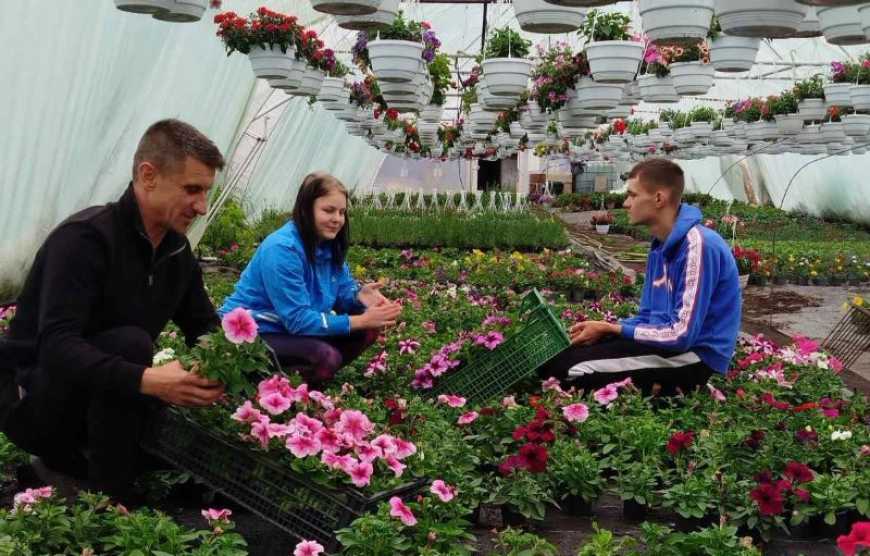 На Поділлі фермер щосезону вирощує 100 тисяч квітів і дає роботу переселенцям