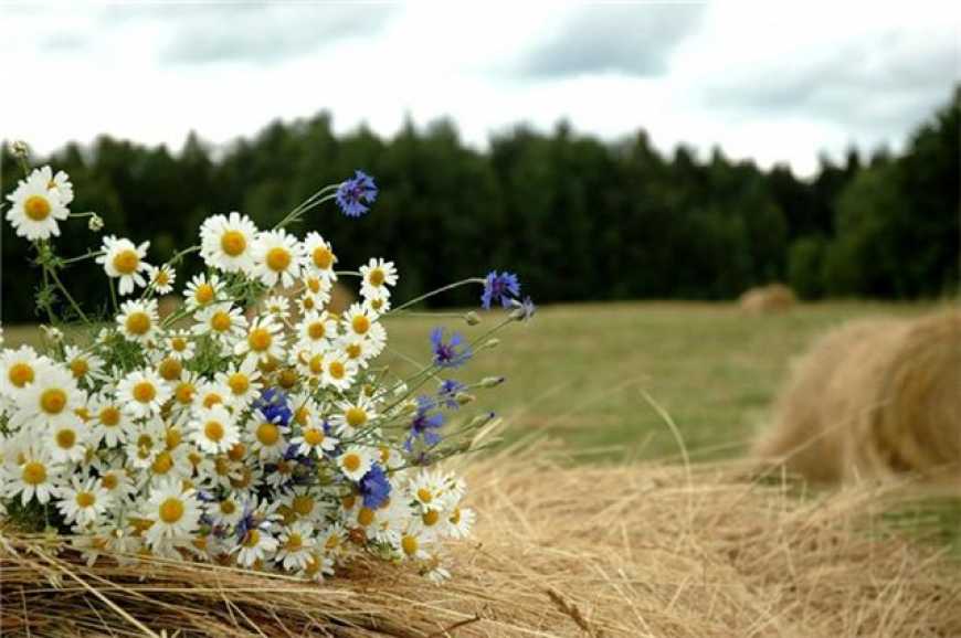 USAID розпочало проект підтримки сільського туризму в Україні