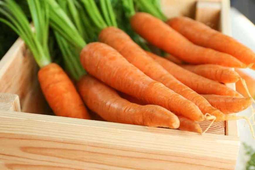 Ціни на моркву в Україні за тиждень знизилися на 10%