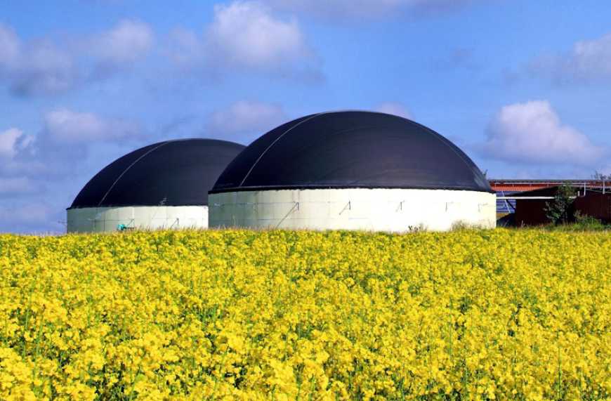 Українські фермери можуть переключитися з вирощування зерна на біогаз, &ndash; Горбачов