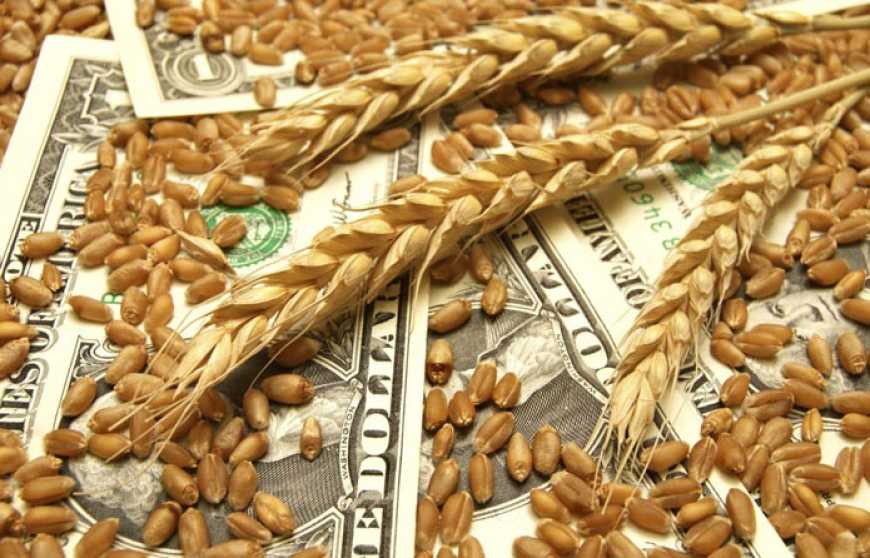 Аграрна експортна виручка в Україні в поточному році скоротиться на 16%, &ndash; аналітики