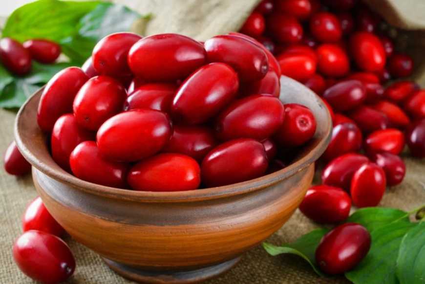 В Україні налагодили виробництво маринованого та фаршированого кизилу