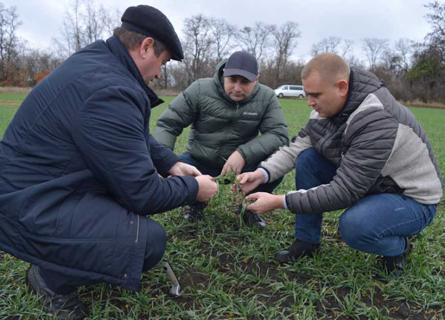«80% ЗЗР, що ми використовуємо, — продукція компанії Байєр», — ТОВ «Кривийрігхарчоторг»