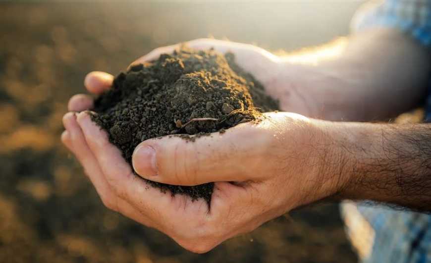 Медіаплатформа &laquo;Агробізнес Сьогодні&raquo; та ГО &laquo;Агробізнес Технології&raquo; реалізують проєкт з відновлення ґрунтів за підтримки Королівства Нідерландів