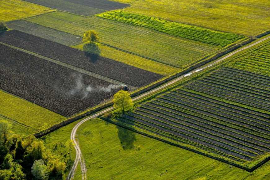 В Україні успішно пройшли ще 4 онлайн-аукціони із суборенди сільгосземель