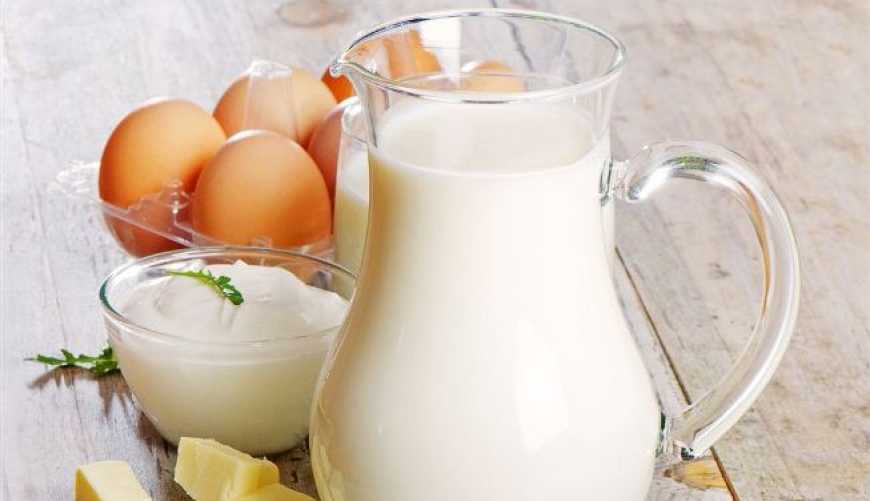 Україна планує експортувати до Єгипту молоко та яйця