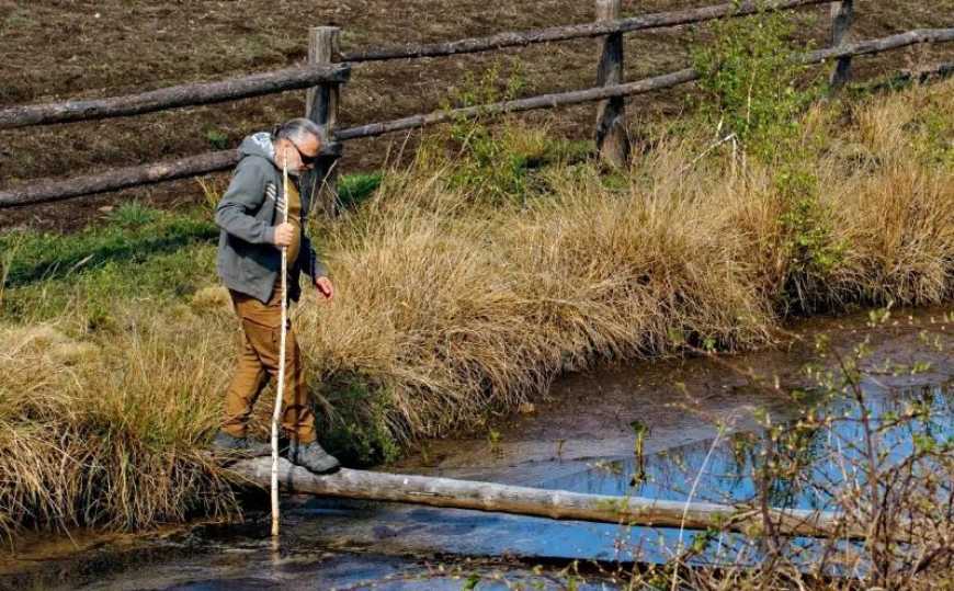 Щоб зупинити деградацію екосистем Полісся на Рівненщині відновлюють болота