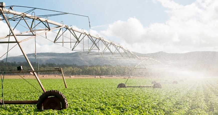 Україна та Угорщина разом відновлюватимуть систему зрошення на Закарпатті