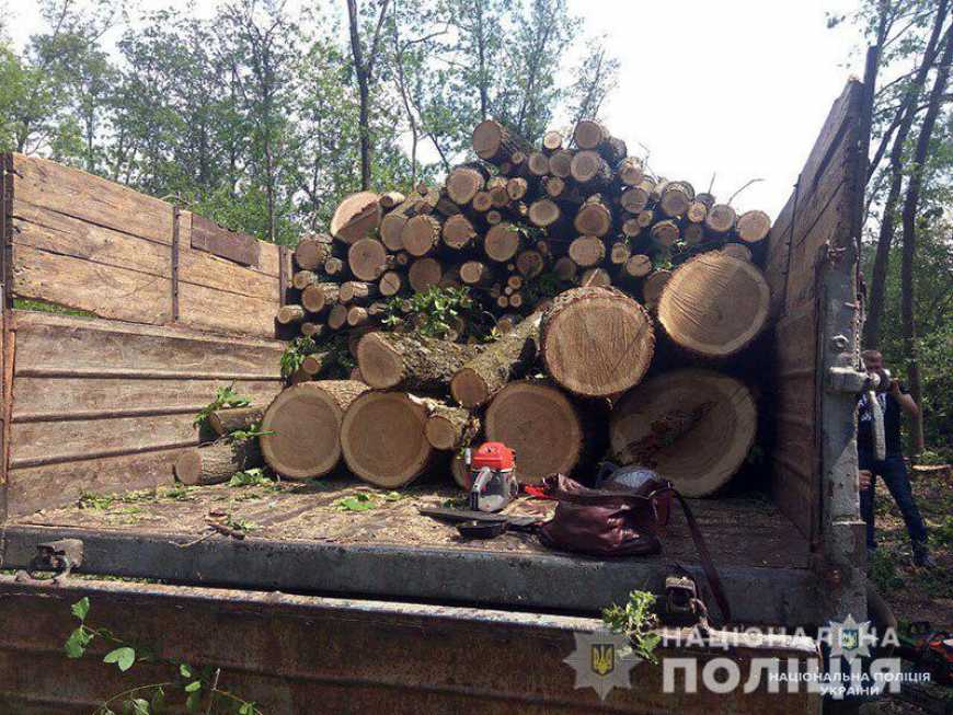 Лісорубів-правопорушників тепер чекає нове покарання