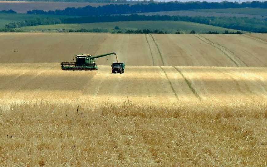 В Україні прогнозують рекордний урожай зерна