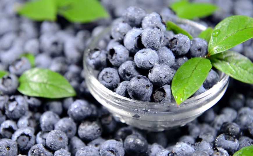 Китай дозволив імпорт замороженої лохини з України