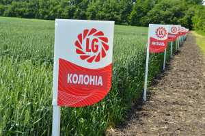 Озимі рішення «ЛІМАГРЕЙН»