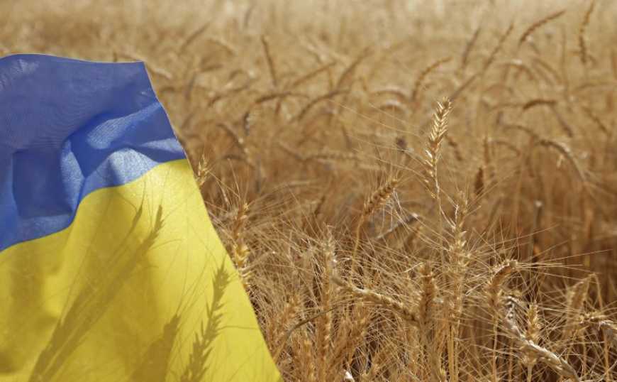 Агропромисловий сектор України в умовах повномасштабної війни та глобальних змін клімату