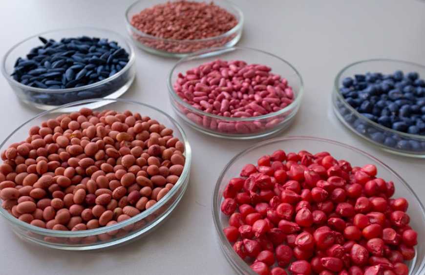 Що посієш, те й пожнеш, або Чому необхідно досліджувати посівний матеріал перед купівлею