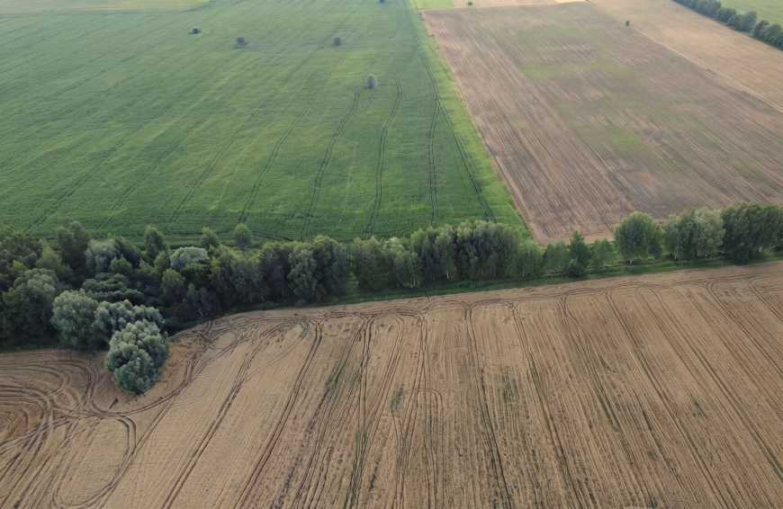 Сільськогосподарські угіддя з висоти.             Фото з відкритих джерел