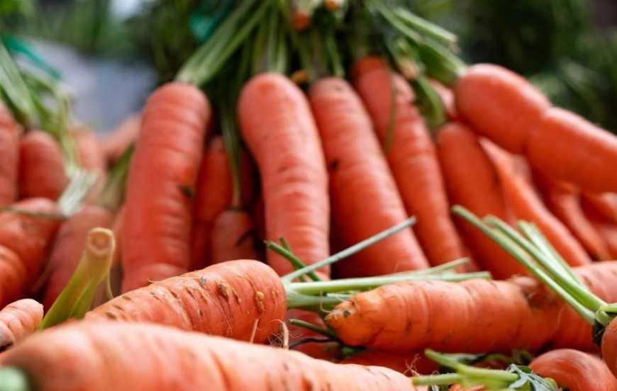 Морква в Україні продовжує дешевшати