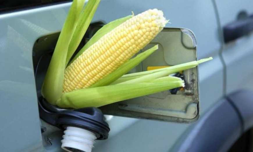 Нідерландська компанія побудує в Україні завод з виробництва біоетанолу