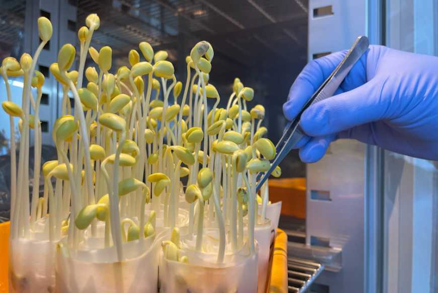 Знижки на дослідження для постраждалих регіонів: Ukravit за підтримки Програми USAID АГРО допомагає аграріям