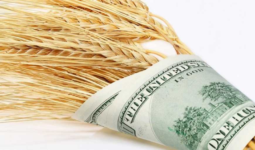 Обвал фондових індексів в США може вплинути на вартість зерна