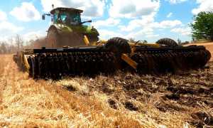 Дискатор, що довів свою ефективність: реальний досвід господарства з Дніпропетровщини