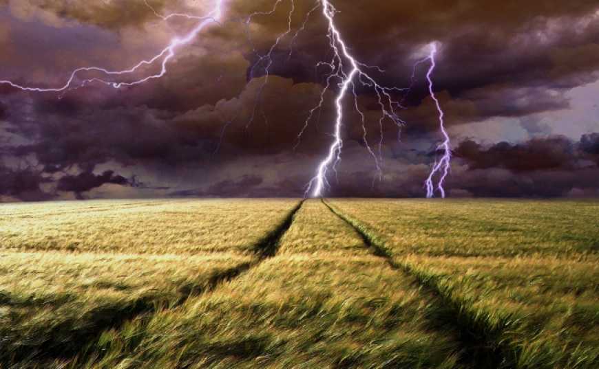 Через затяжні дощі якість зерна погіршилася – фермери