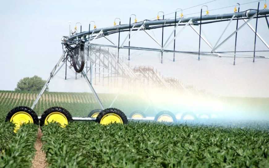 Цьогоріч площа зрошуваних земель в Україні перевищила 40 тис. га