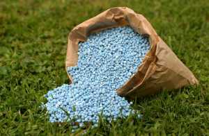 Що робити, якщо немає коштів на міндобрива