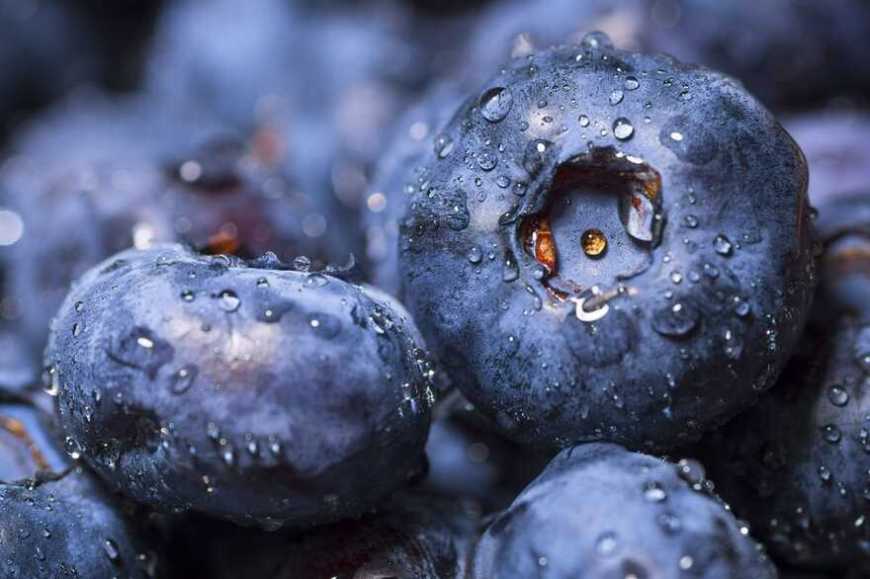 В Україні зафіксовано рекордні ціни на лохину