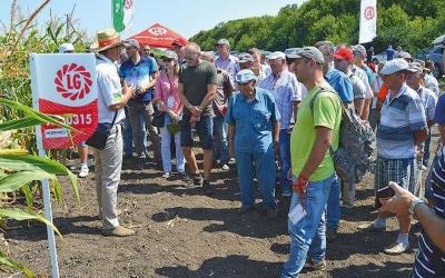 День поля Limagrain — стресостійкі рішення для прибуткового виробництва