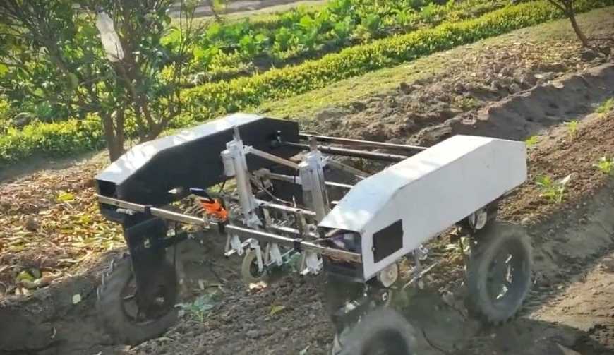 На Хмельниччині фермери вирощують огірки за допомогою марсохода
