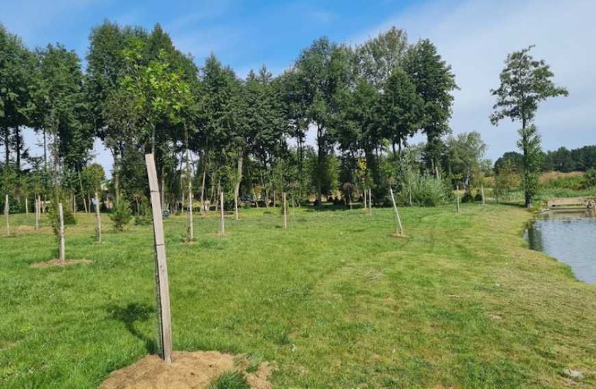 Двоє киян перетворили смітник на Житомирщині у ландшафтний парк