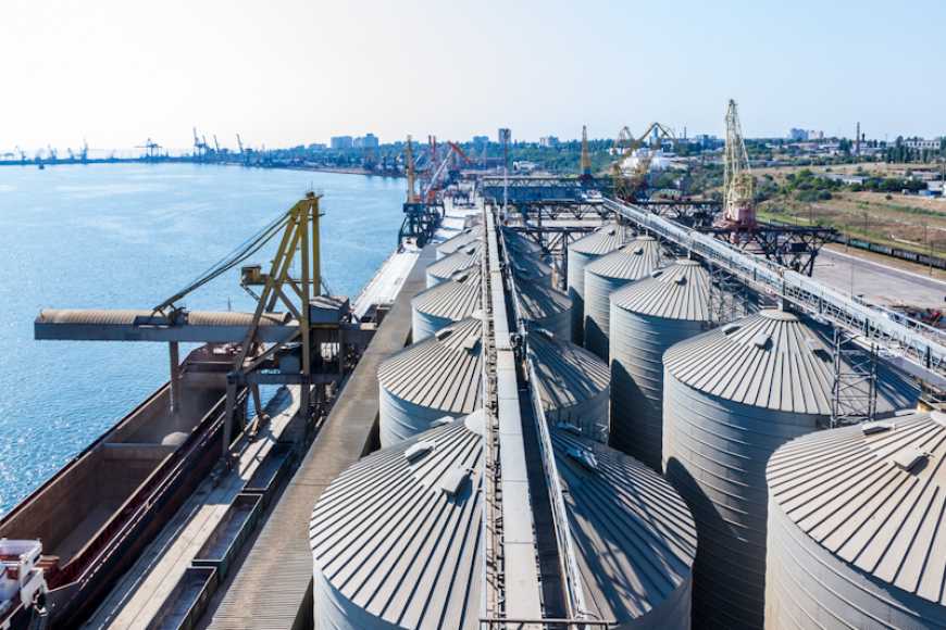 Kernel пропонує свої логістичні сервіси для виробників олії