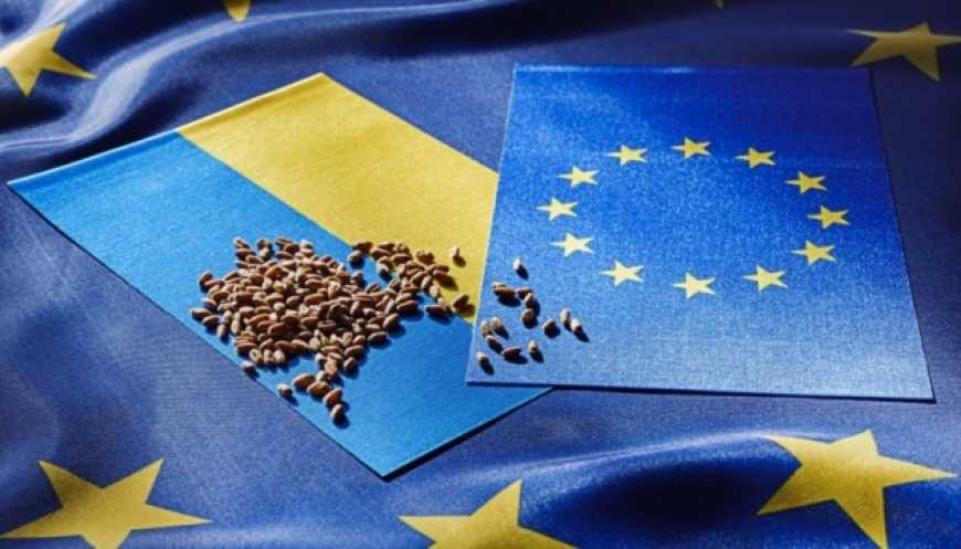 Вплив українського агроекспорту на європейський ринок є мінімальним – аналітики
