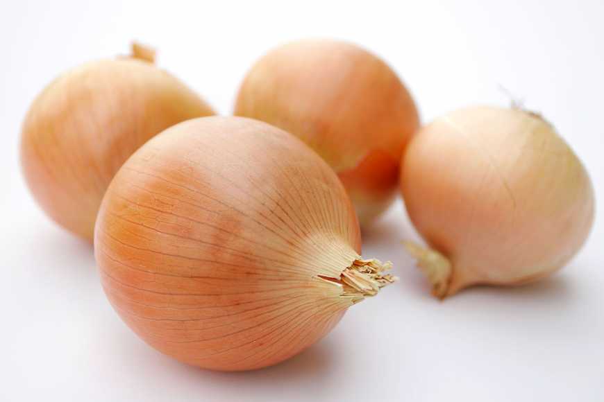 Українські фермери знижують ціни на цибулю