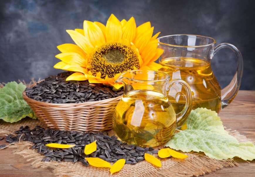 Ринок соняшнику: пропозиція соняшнику в Україні залишалася вкрай обмеженою