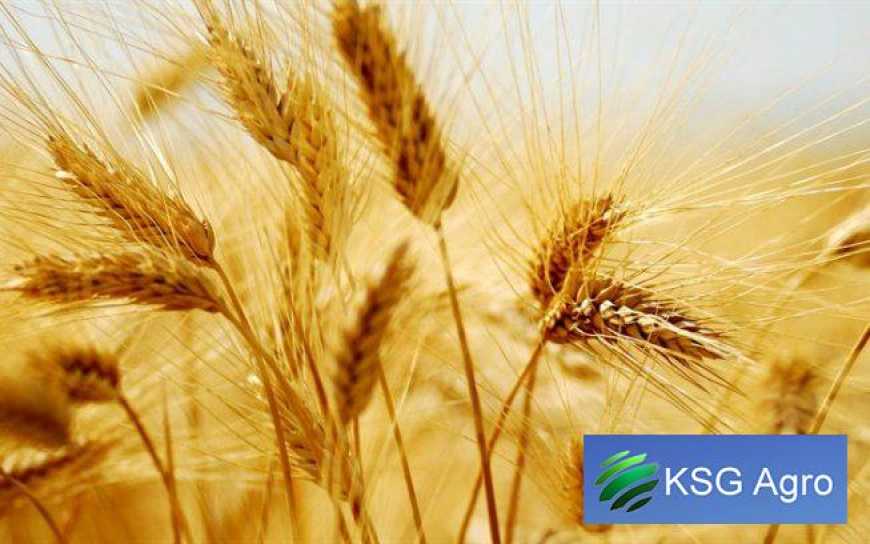 KSG Agro підбив підсумки своєї роботи у 2018 році