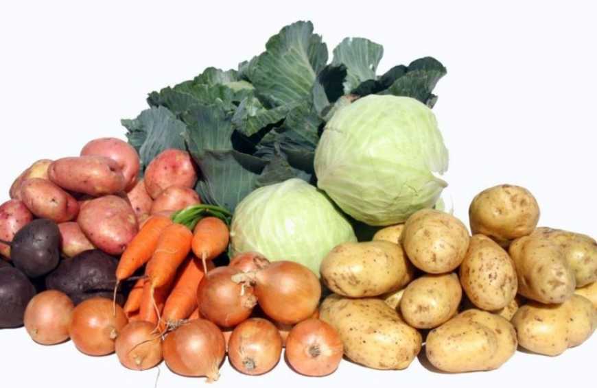 Цьогоріч Україна збільшила експорт овочів до Білорусі