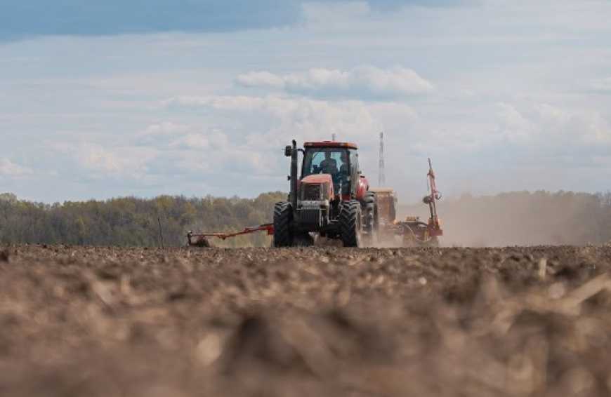 Посівна-2024: аграрії України засіяли близько 10 млн га ярих культур