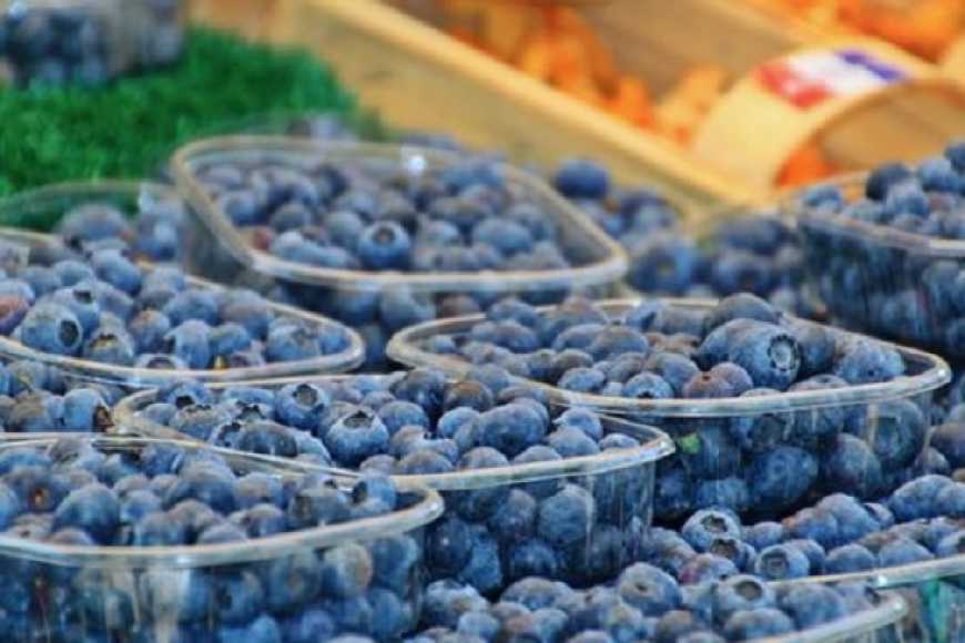 В Україні падає інтерес до вирощування популярної ягоди