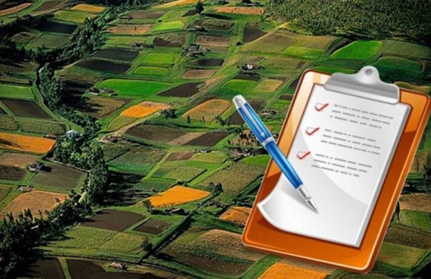 Власники паїв надають перевагу довгостроковому укладанню договорів оренди землі