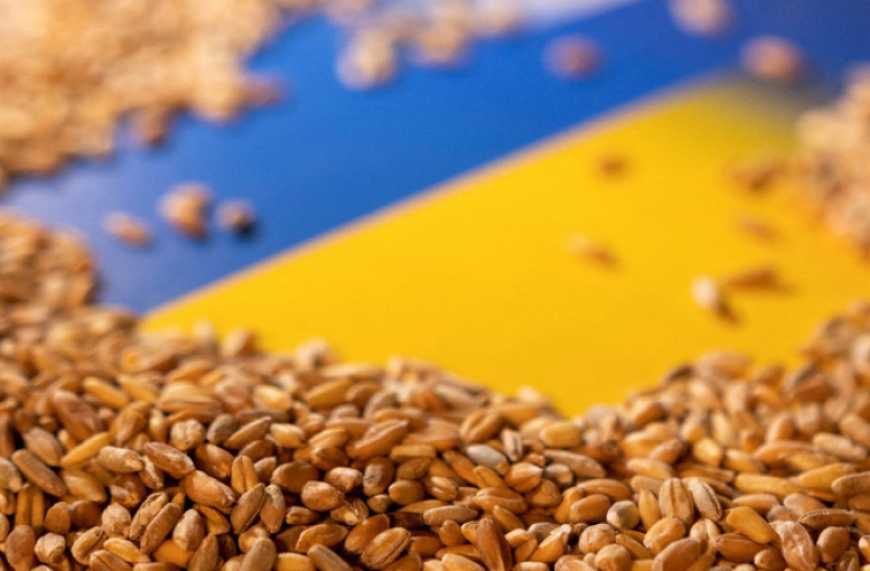 З початку роботи &laquo;зернового коридору&raquo; експортовано 16,3 млн тонн агропродукції