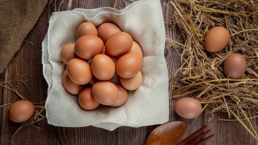 В Україні змінили вимоги до продажу яєць