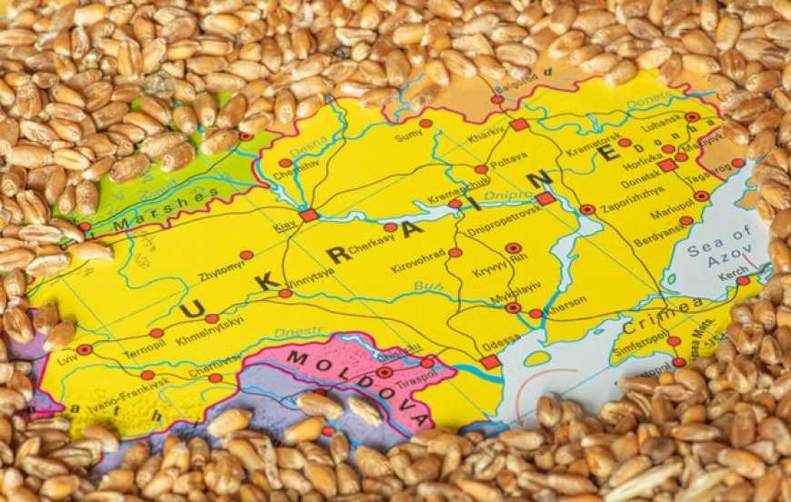 У травні Україна експортувала 7,4 млн тонн агропродукції