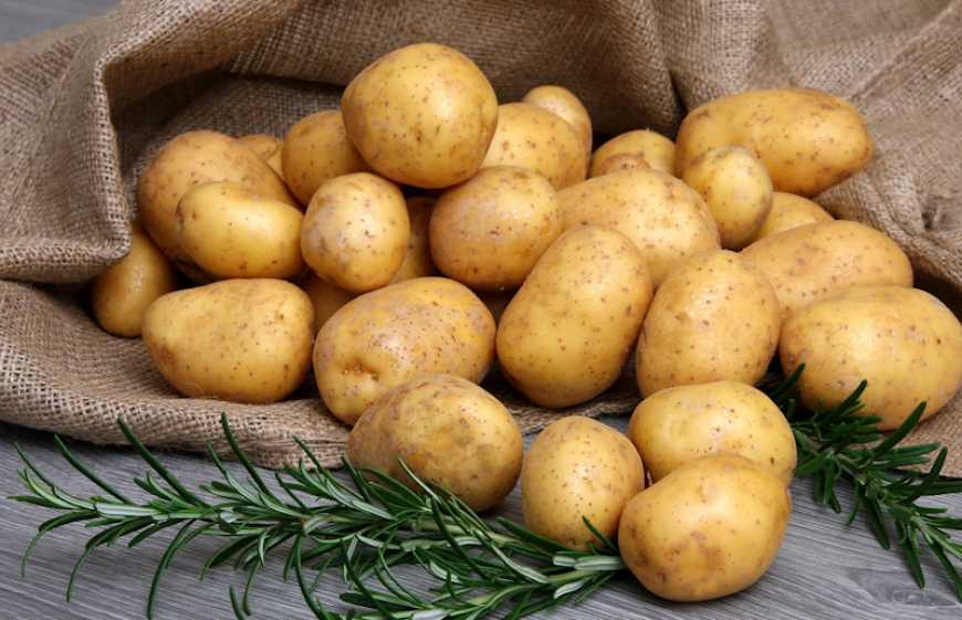 За два роки Україна збільшила імпорт картоплі у 250 разів