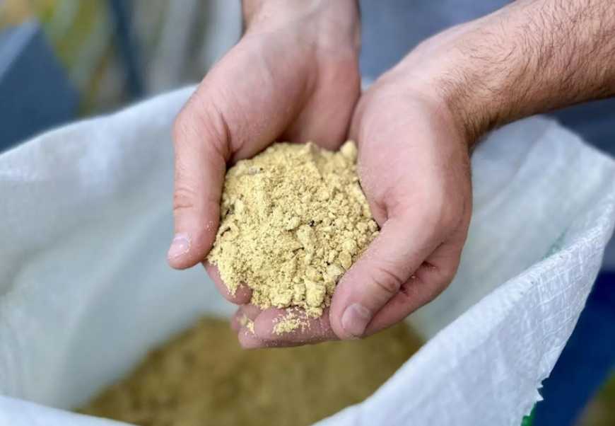 Україна увійшла до топ-3 світових постачальників макухи та шроту до Китаю